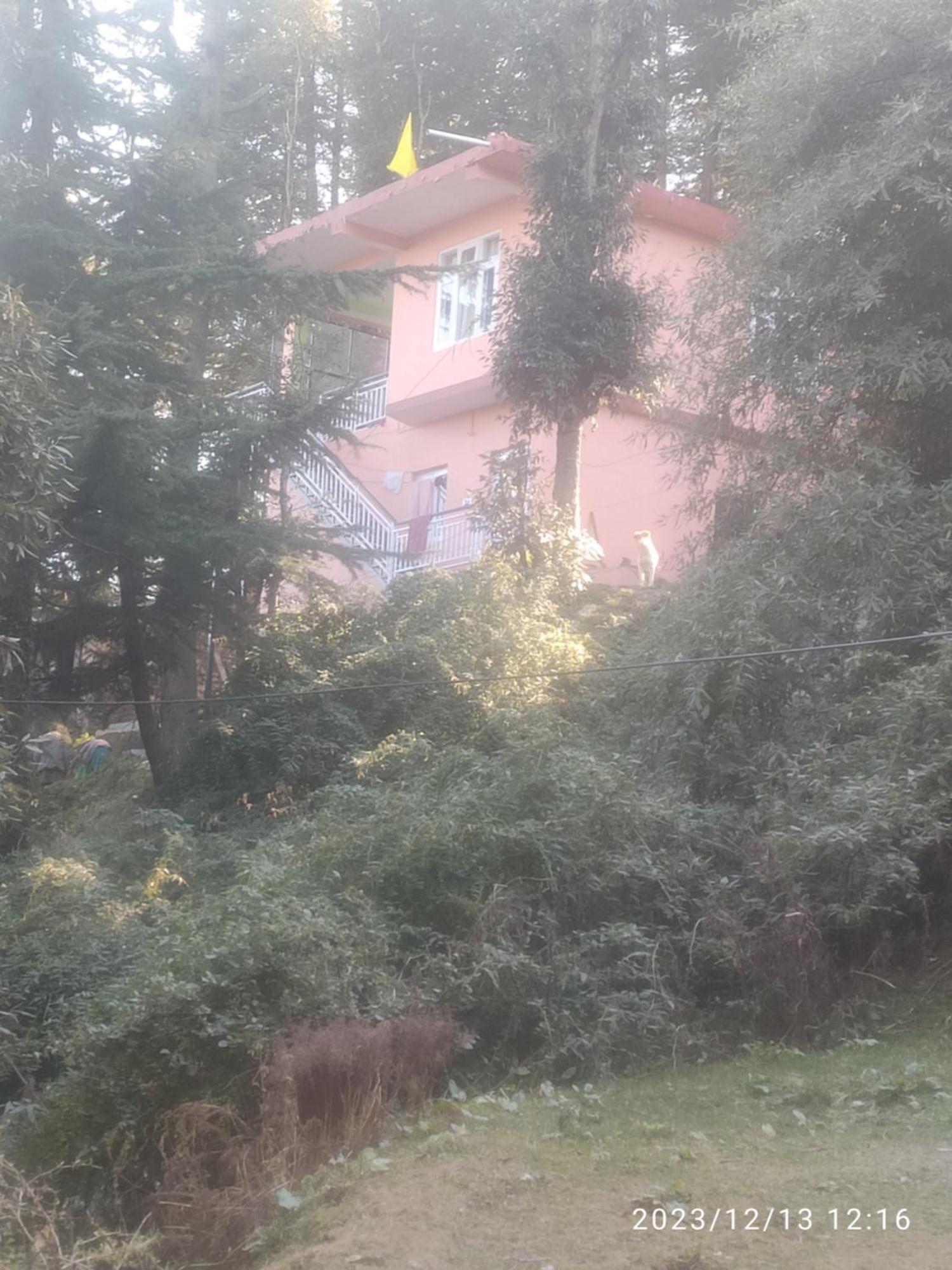 Tree Valley Homestay Chail Esterno foto