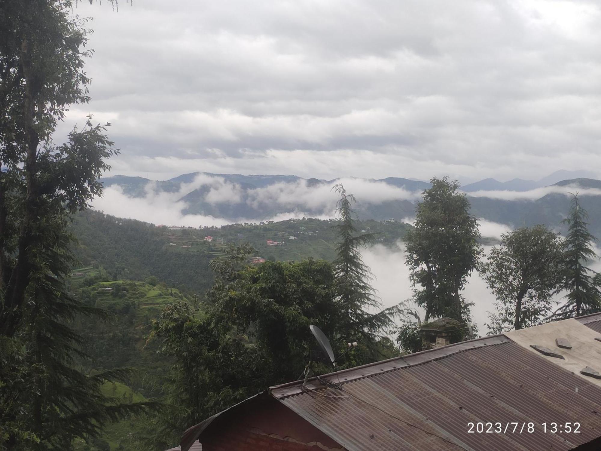 Tree Valley Homestay Chail Esterno foto