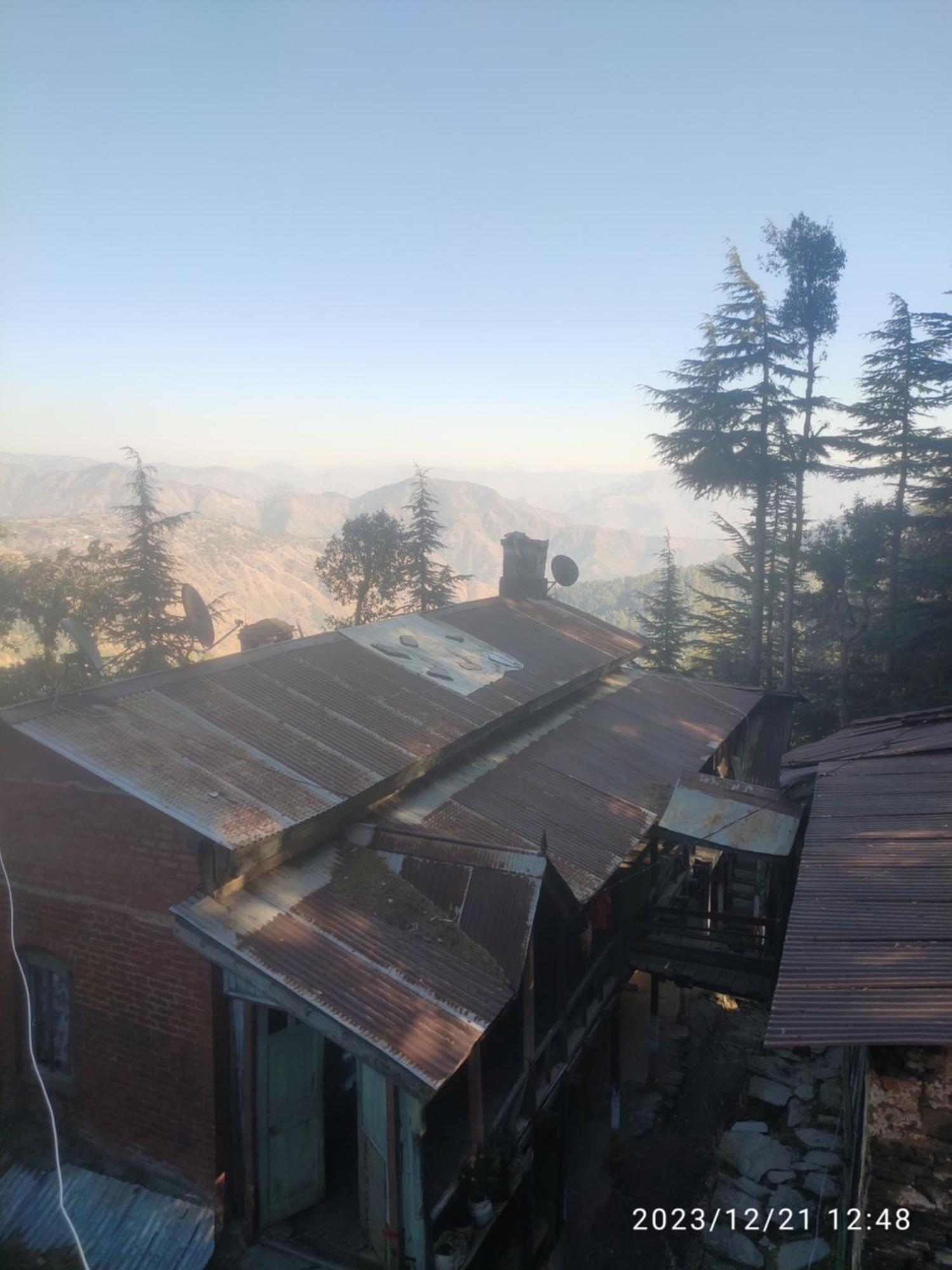 Tree Valley Homestay Chail Esterno foto