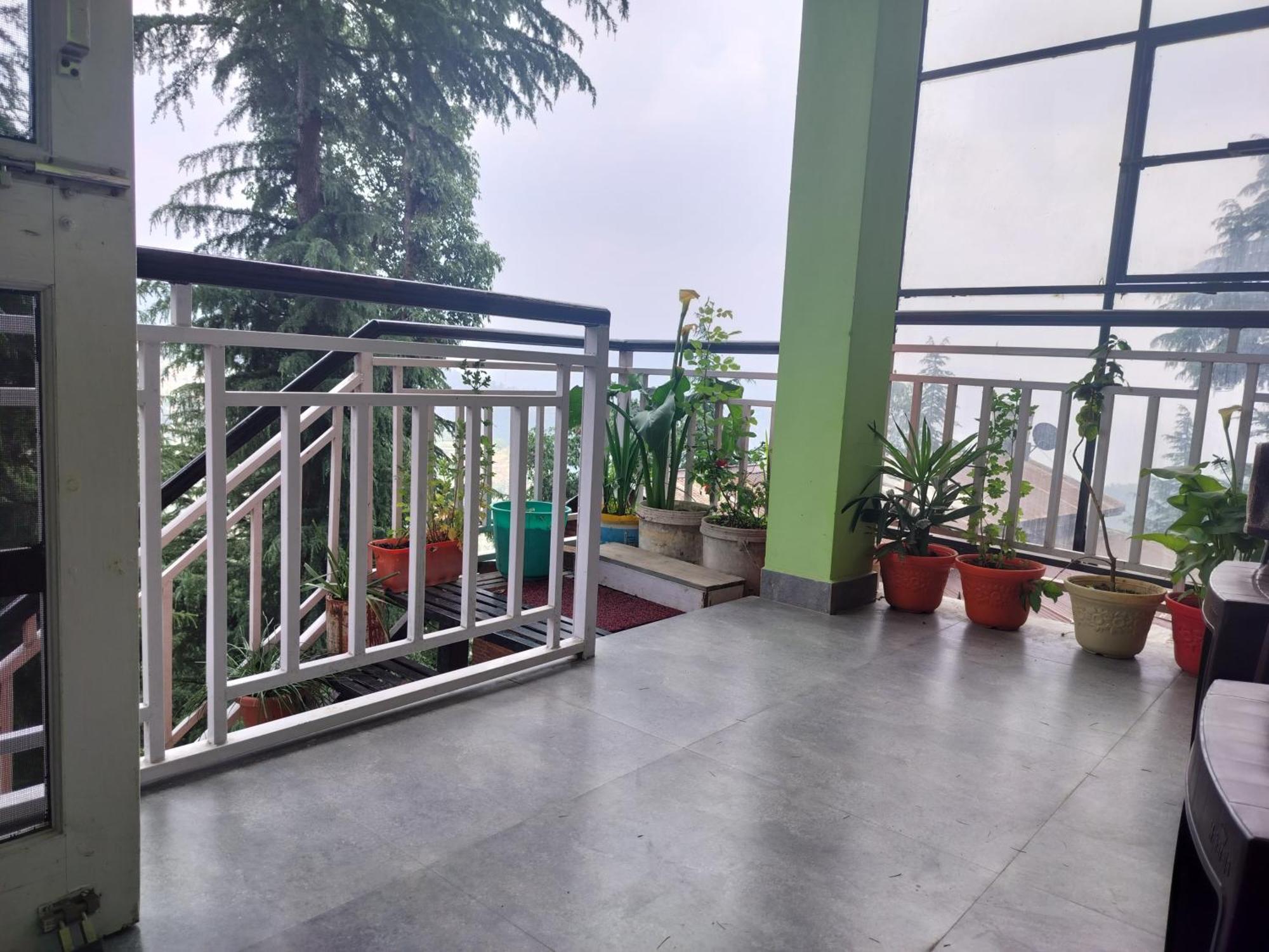 Tree Valley Homestay Chail Esterno foto