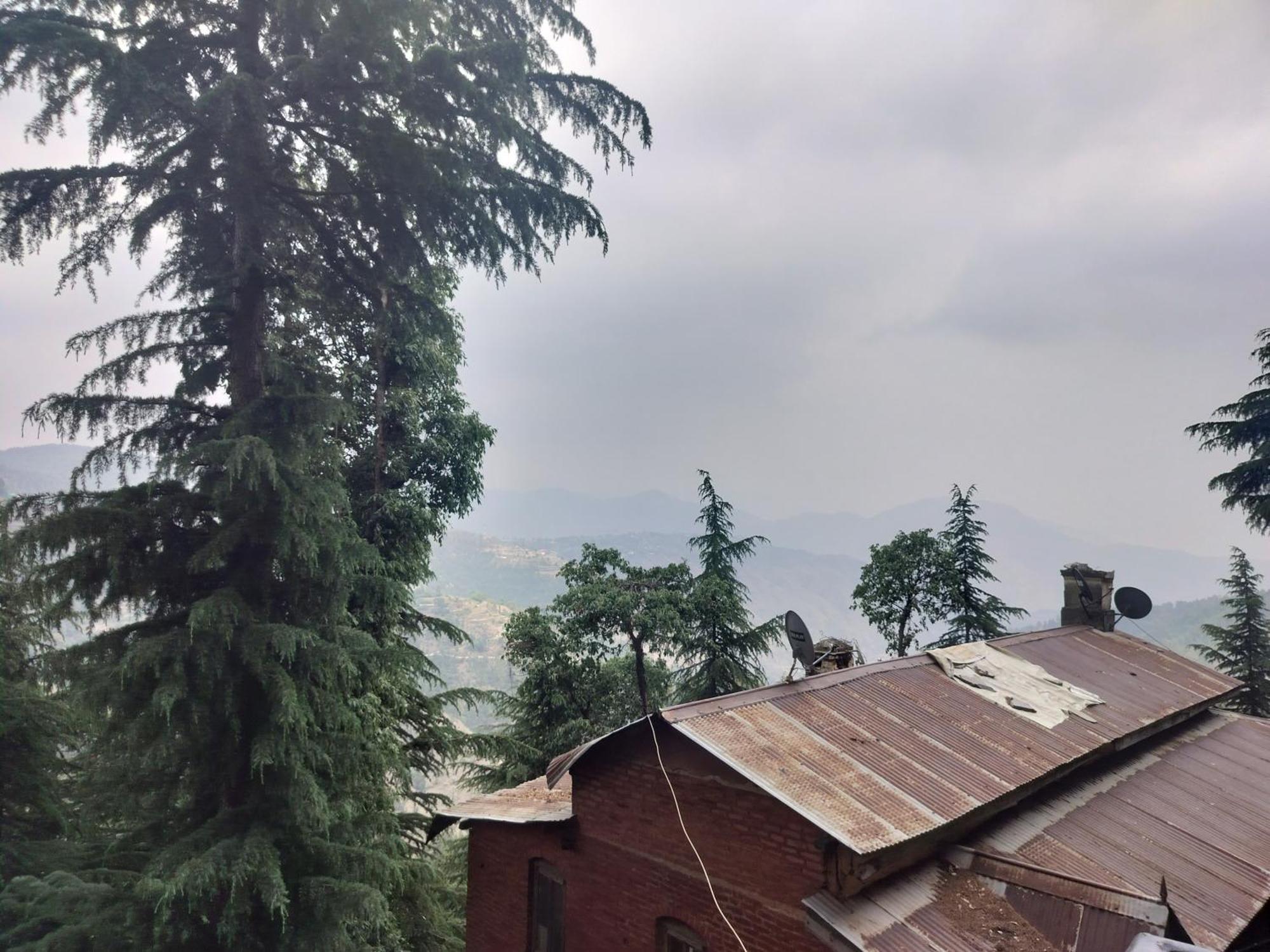 Tree Valley Homestay Chail Esterno foto