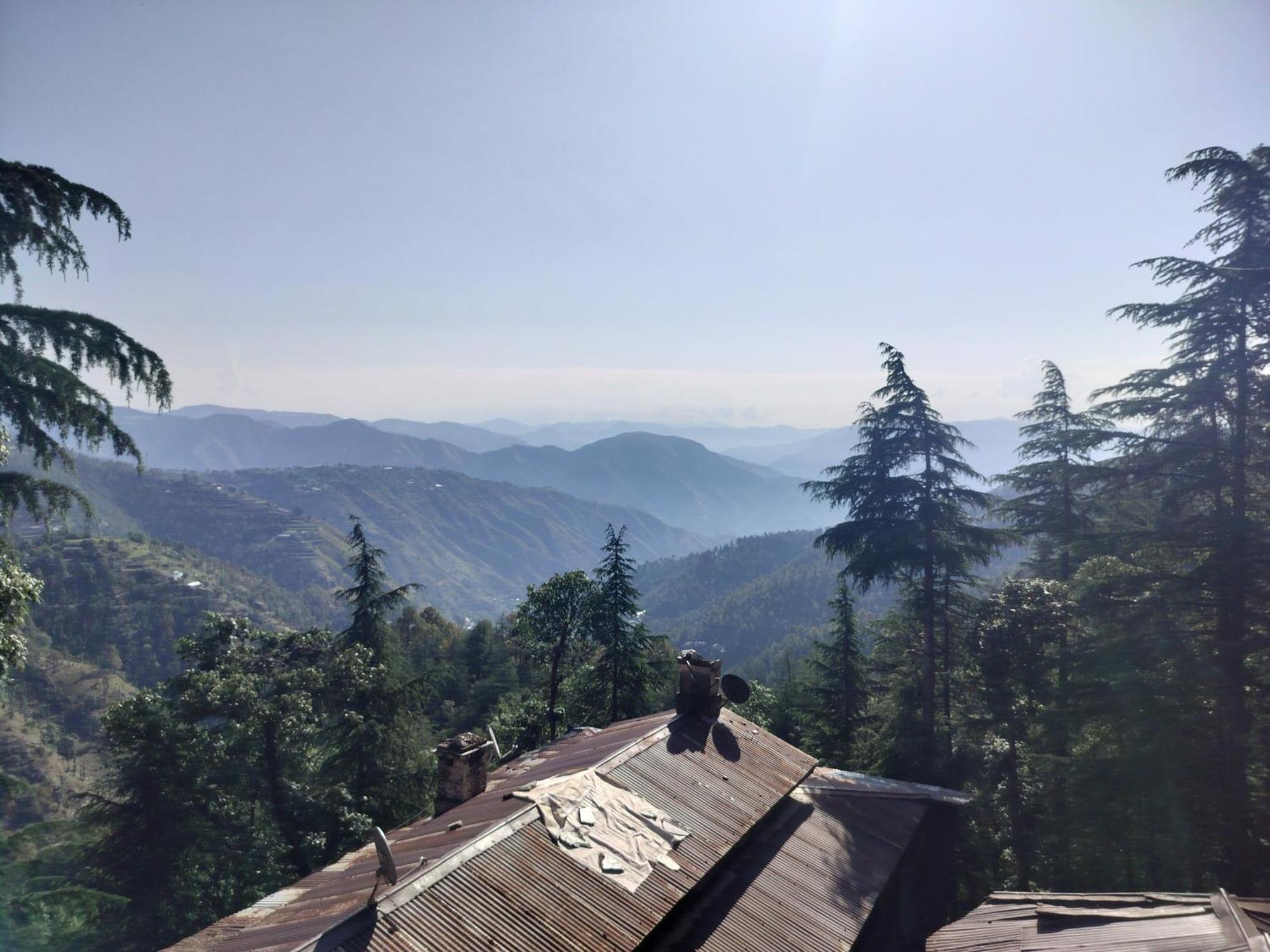 Tree Valley Homestay Chail Esterno foto