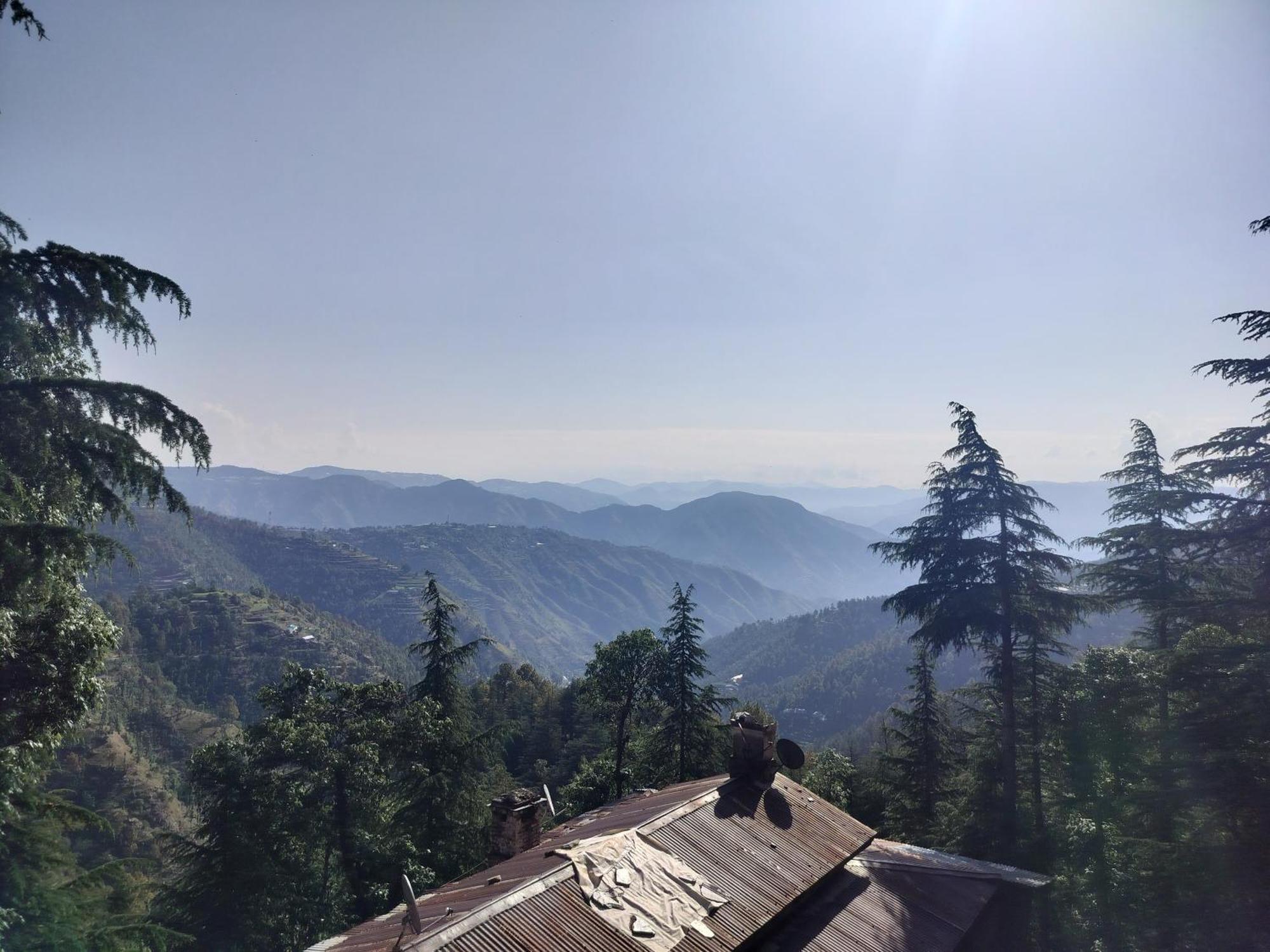Tree Valley Homestay Chail Esterno foto