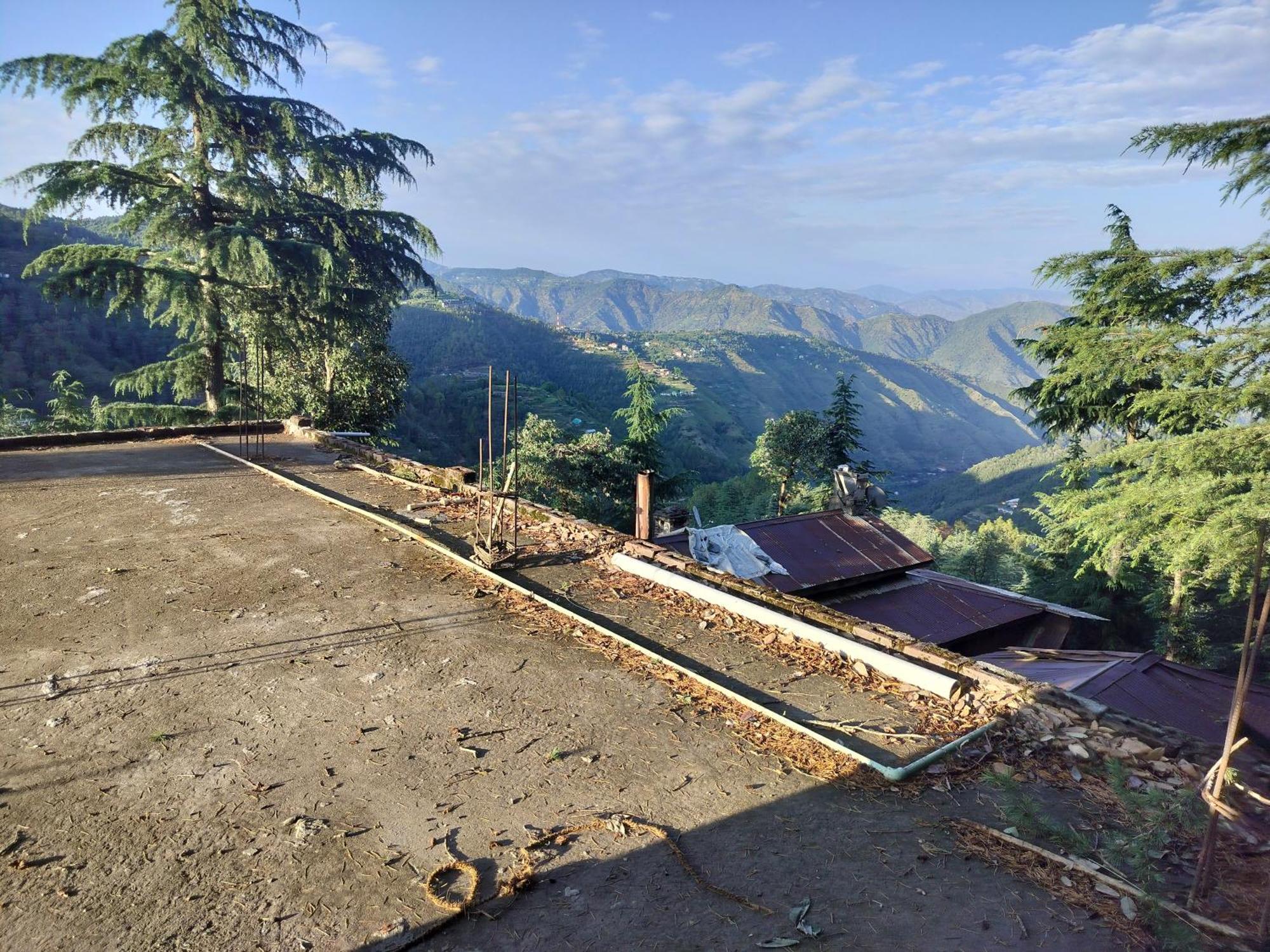 Tree Valley Homestay Chail Esterno foto