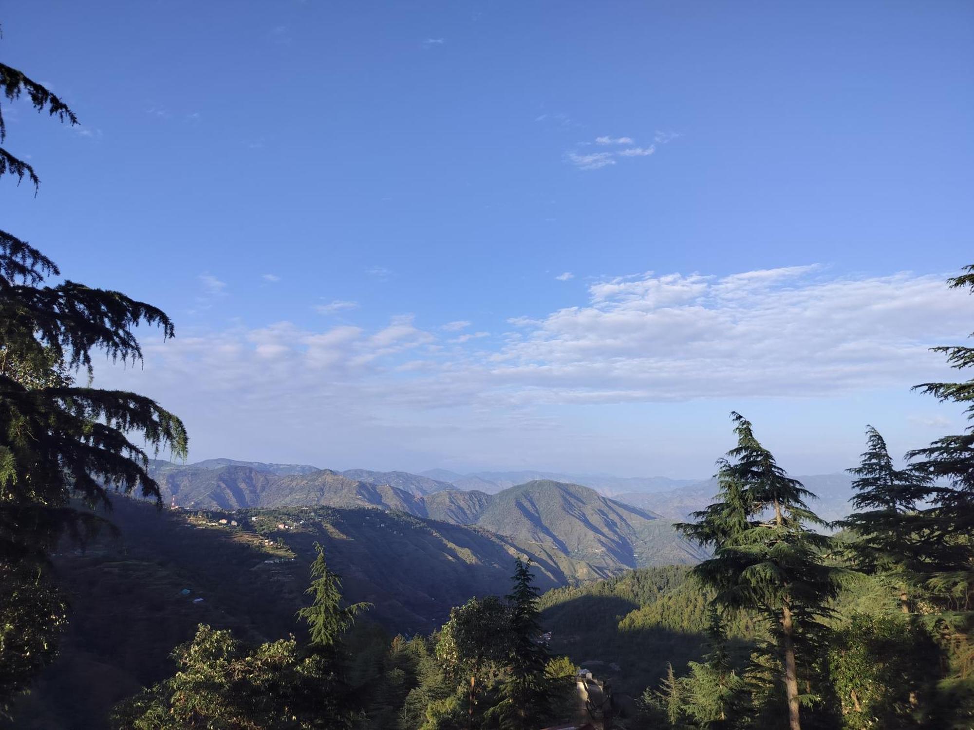 Tree Valley Homestay Chail Esterno foto