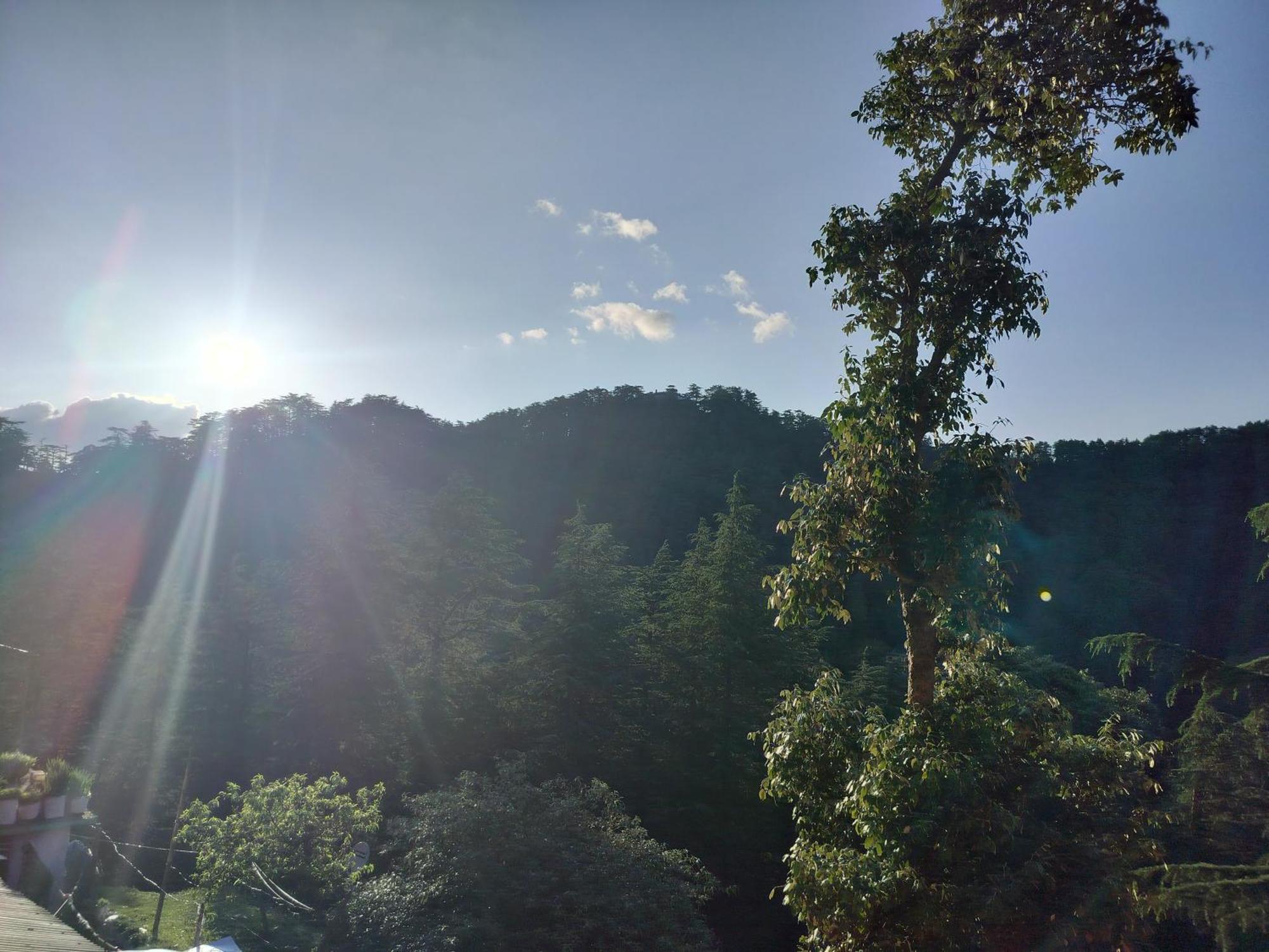 Tree Valley Homestay Chail Esterno foto