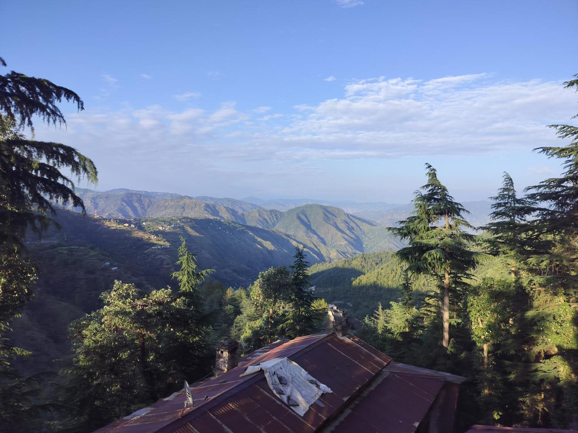 Tree Valley Homestay Chail Esterno foto