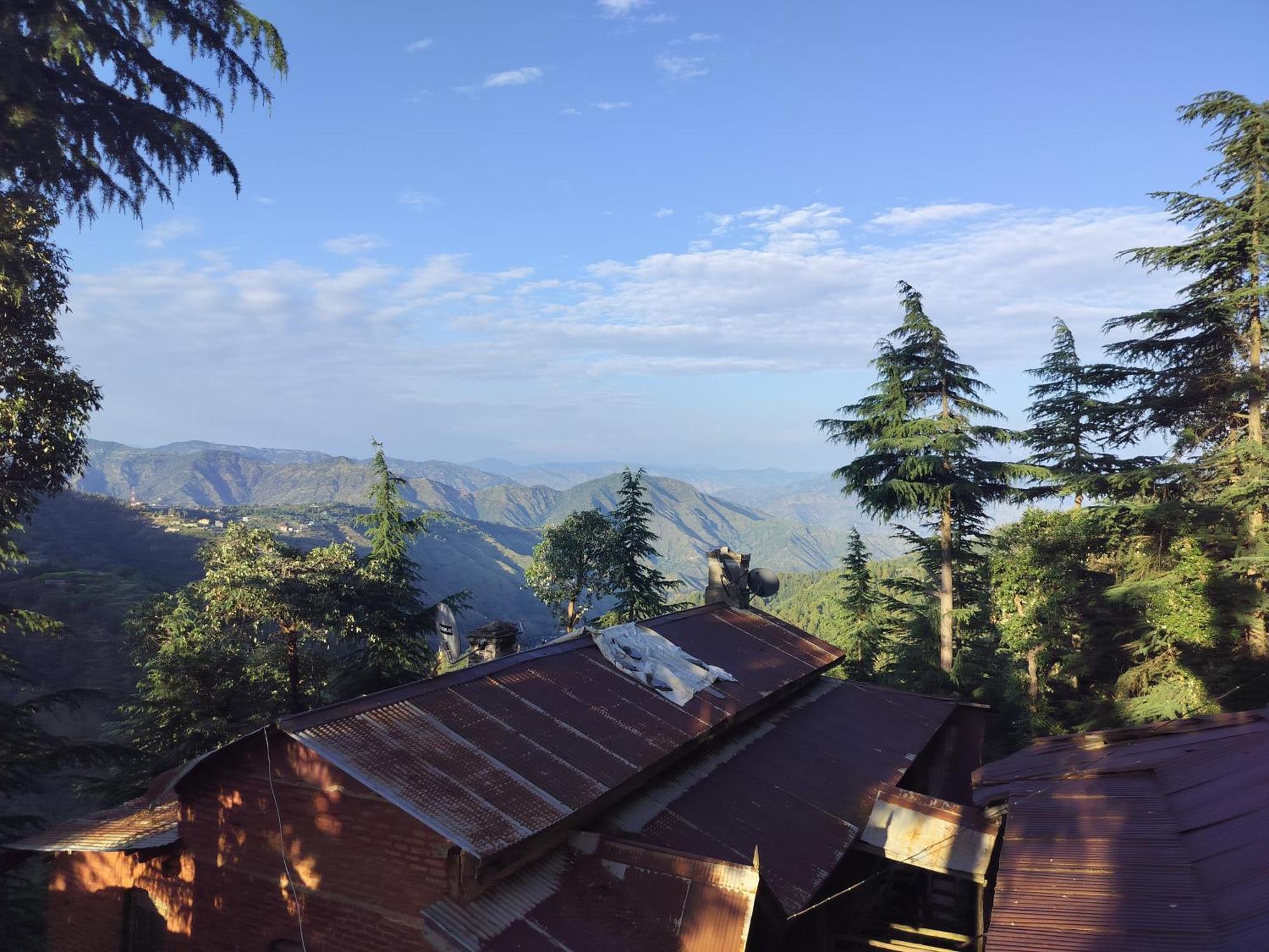 Tree Valley Homestay Chail Esterno foto